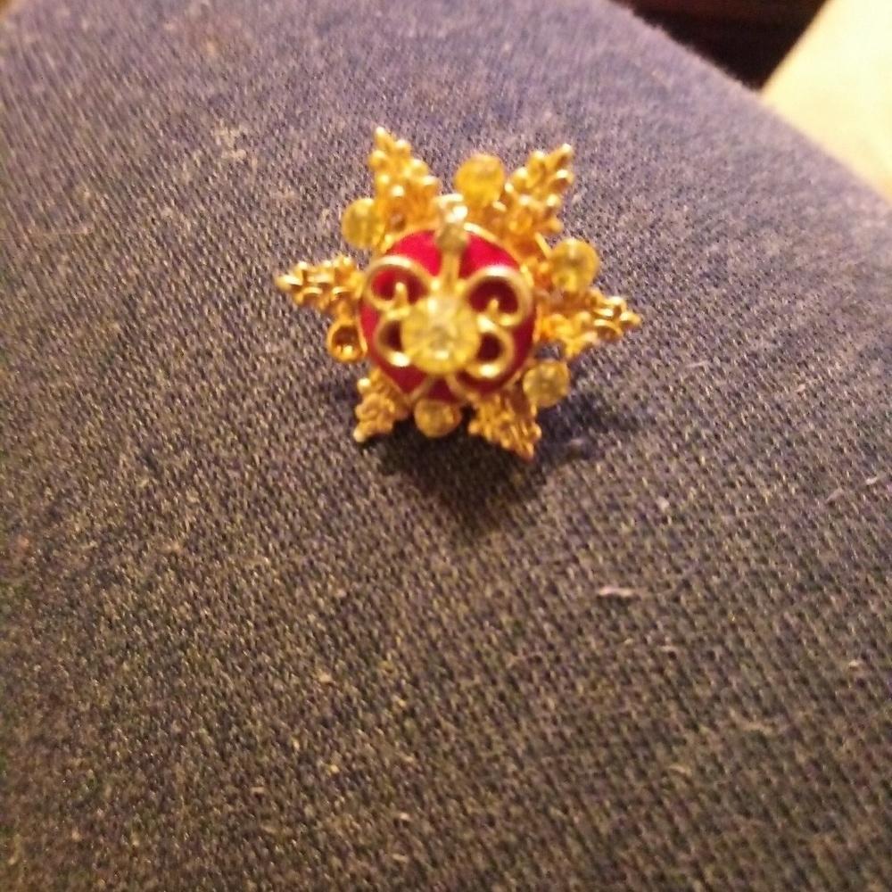 Beautiful broach